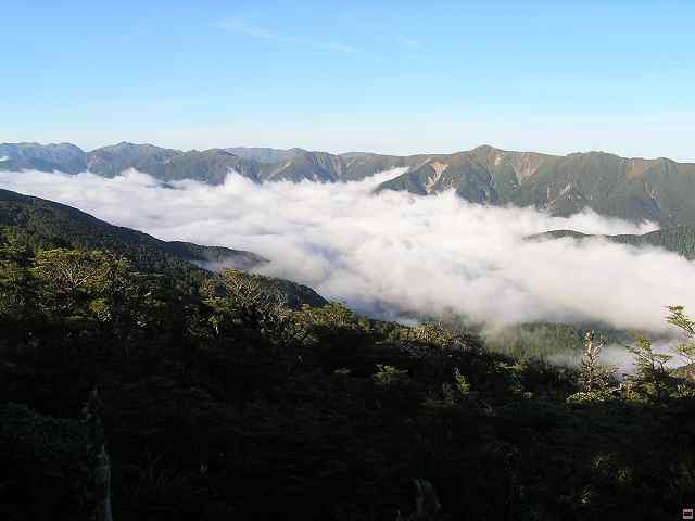NZ leden-unor 2006 211.jpg